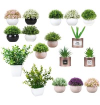 Plastic plant flower PPF20122